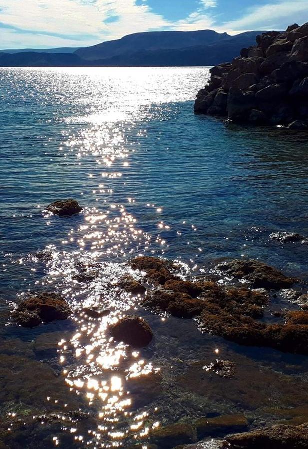 Apartmani Ivankovic كارلوباغ المظهر الخارجي الصورة