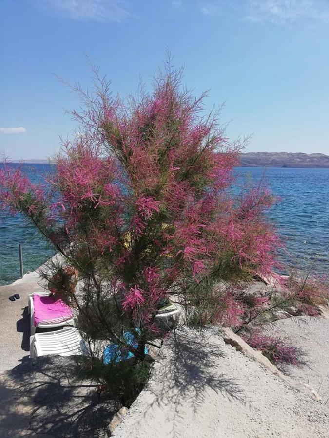 Apartmani Ivankovic كارلوباغ المظهر الخارجي الصورة