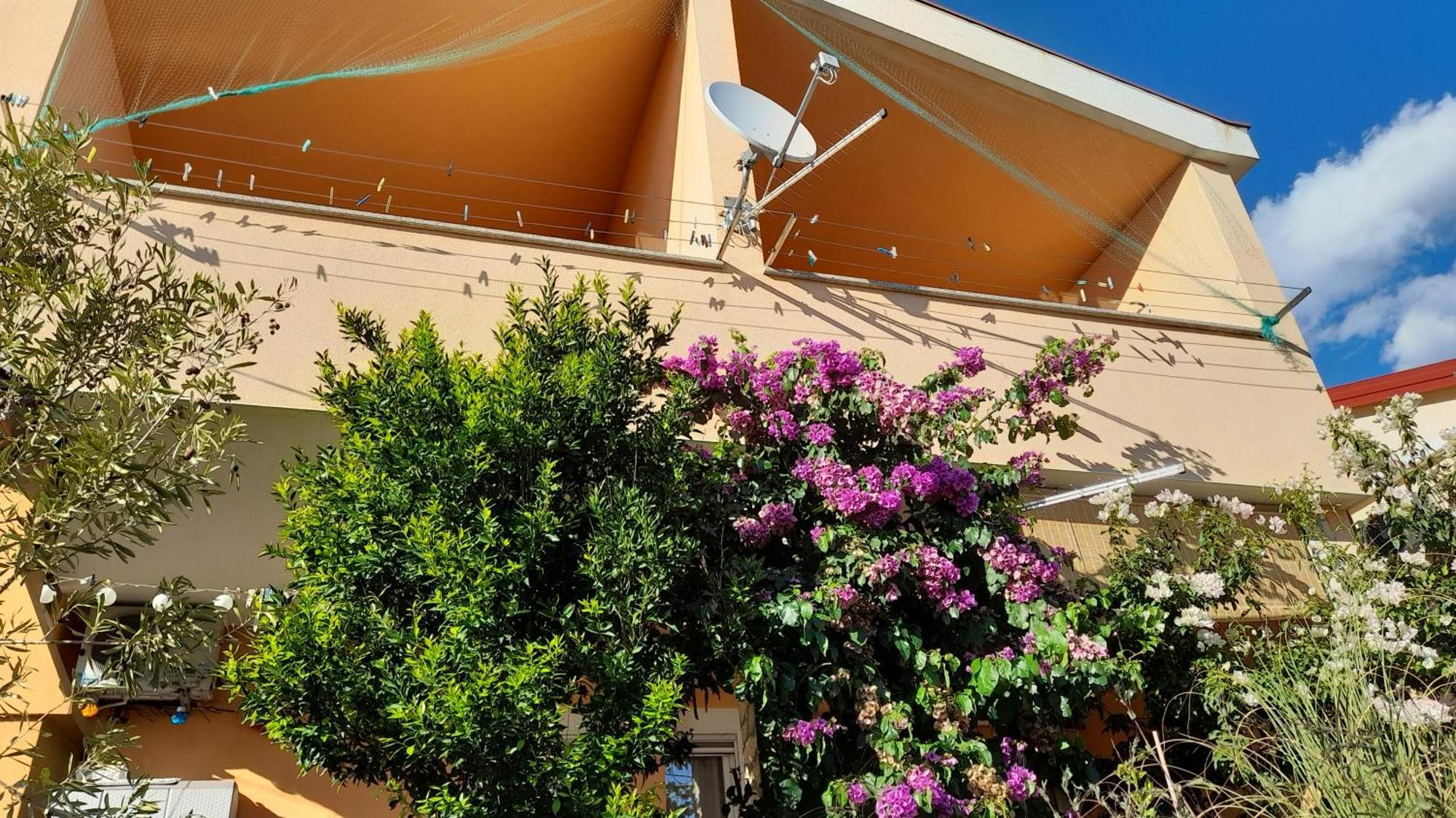 Apartmani Ivankovic كارلوباغ الغرفة الصورة